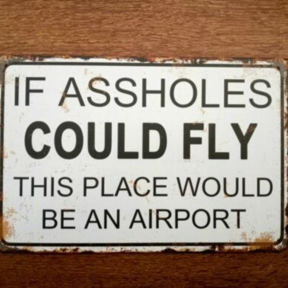 If Ass holes Could Fly This Place Would Be An Airport Funny Metal Sign Man Cave - Picture 1 of 4